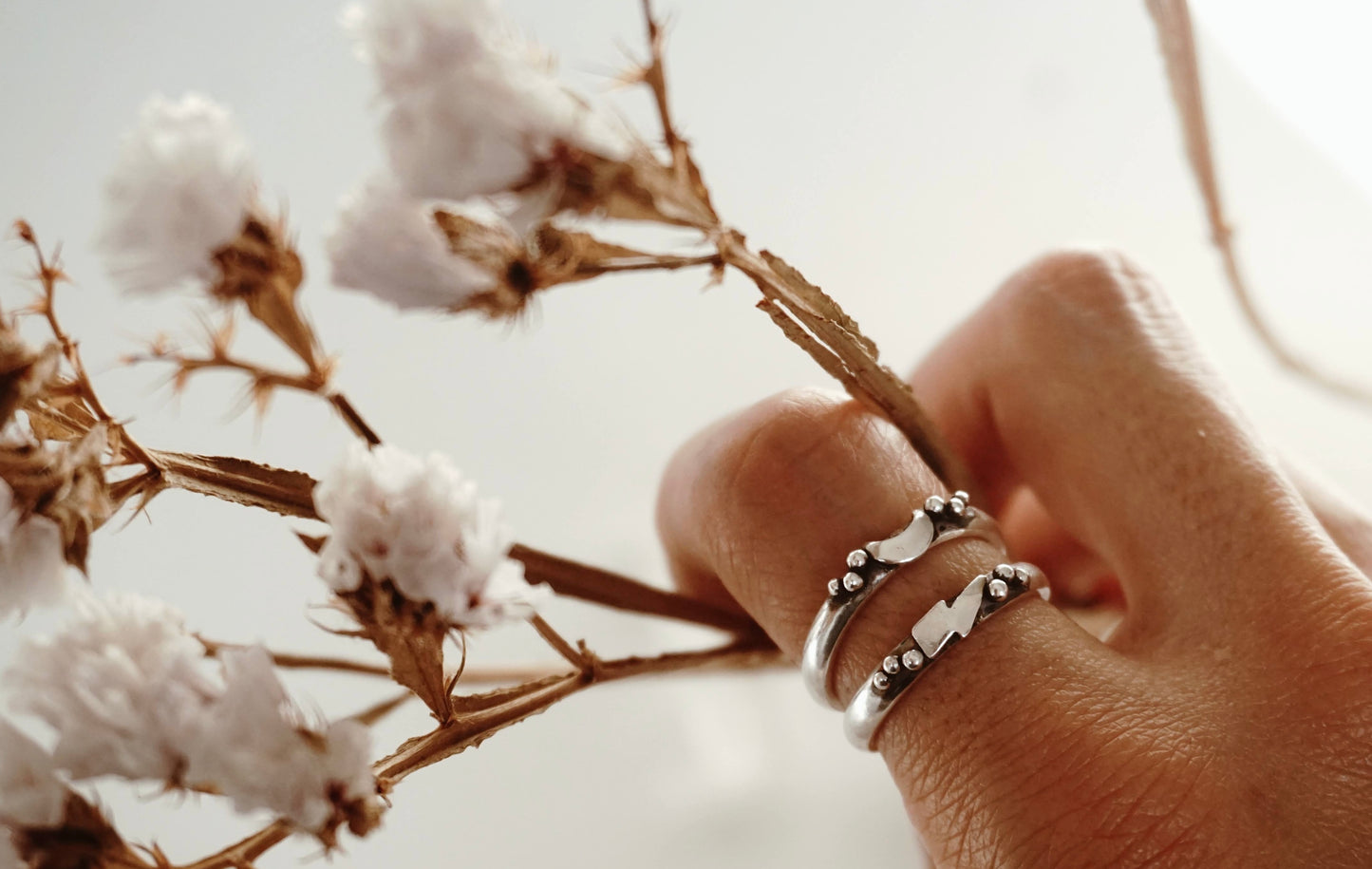 Anillo Marte