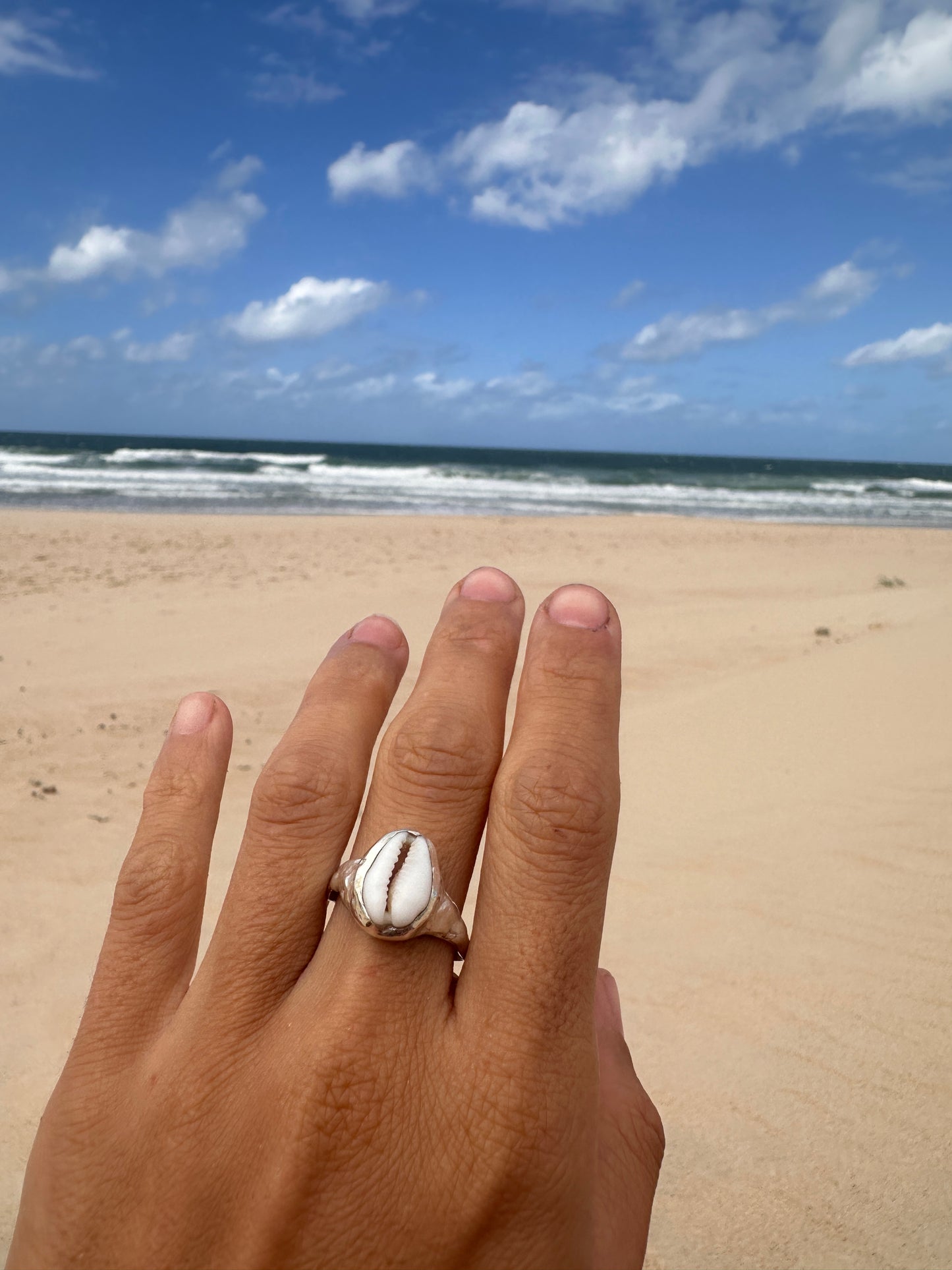 Anillo noosa