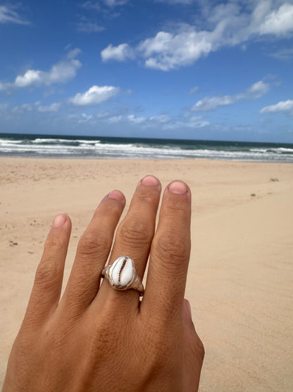 Anillo noosa