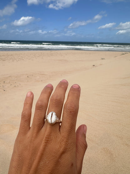 Anillo noosa