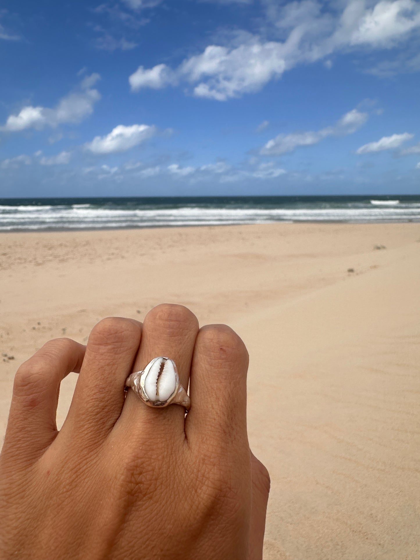 Anillo noosa