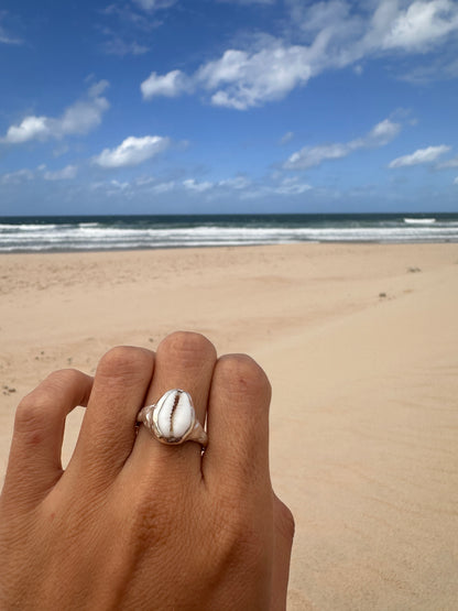 Anillo noosa
